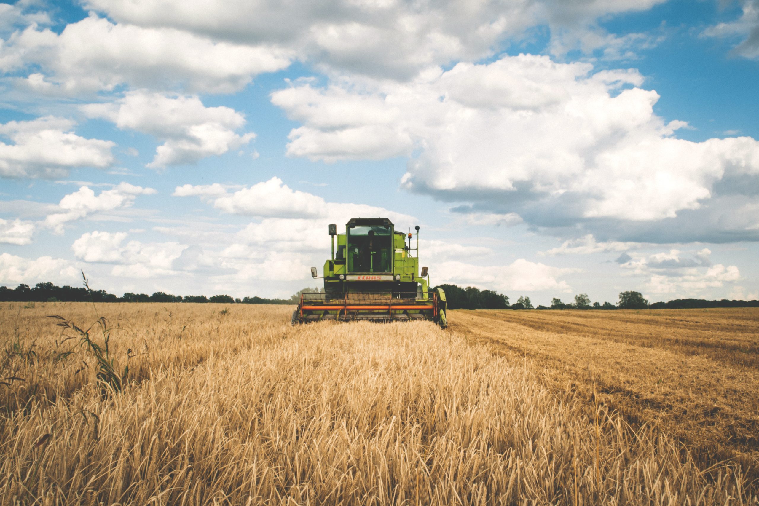 Agriculture, Food And Natural Resources