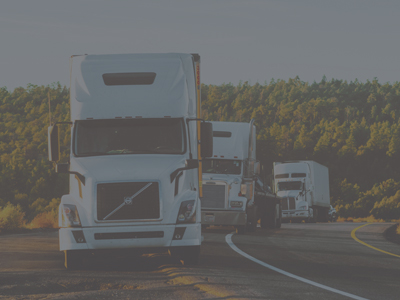 Transportation, Distribution And Logistics